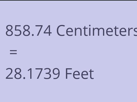 858.74 CM TO FEET