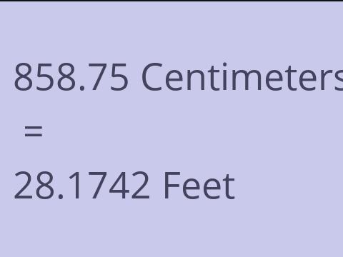 858.75 CM TO FEET