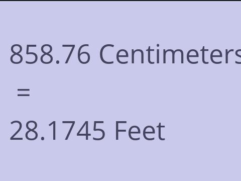 858.76 CM TO FEET