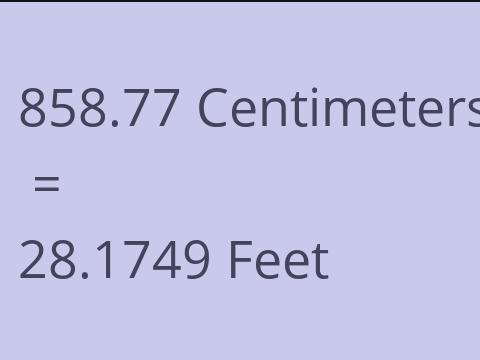 858.77 CM TO FEET