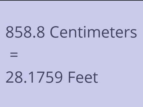 858.8 CM TO FEET