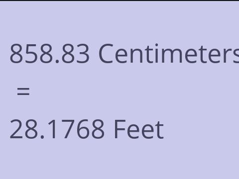 858.83 CM TO FEET