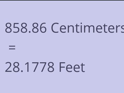 858.86 CM TO FEET