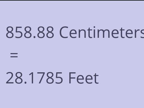 858.88 CM TO FEET