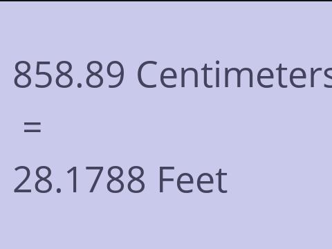 858.89 CM TO FEET