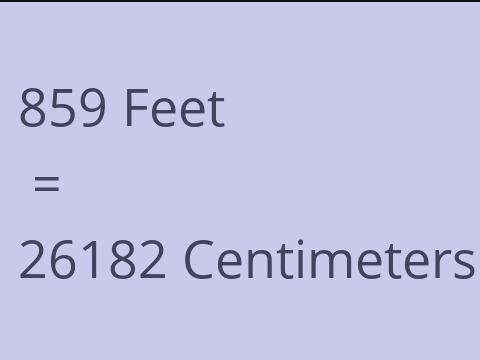 859 FEET TO CM