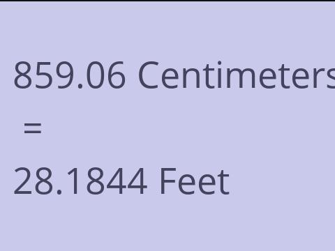 859.06 CM TO FEET