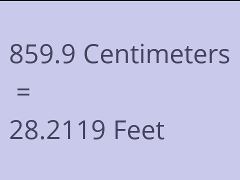 859.9 CM TO FEET