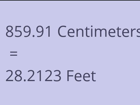 859.91 CM TO FEET