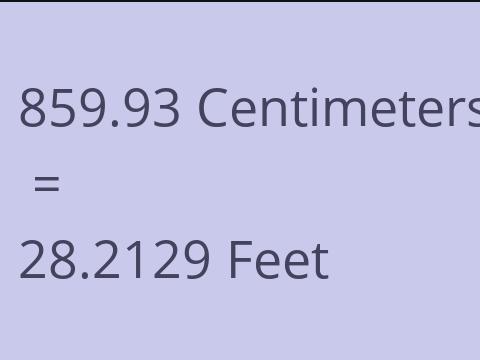 859.93 CM TO FEET