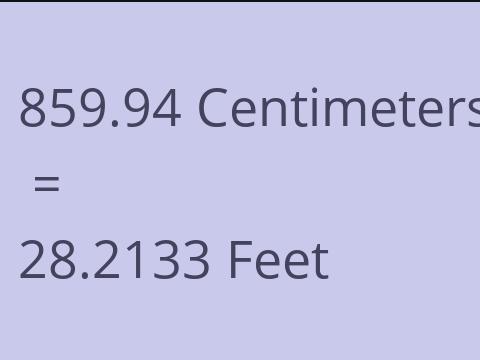 859.94 CM TO FEET