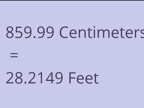 859.99 CM TO FEET