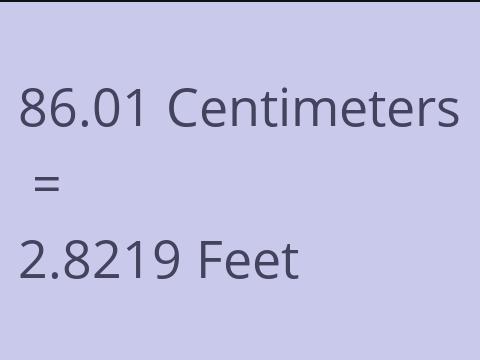 86.01 CM TO FEET