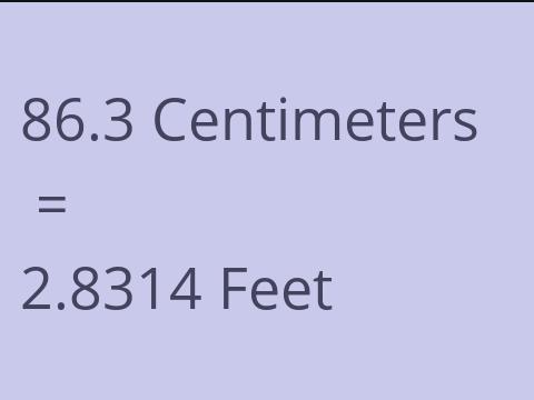 86.3 CM TO FEET