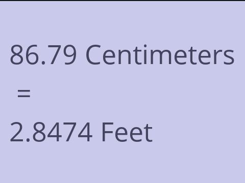 86.79 CM TO FEET