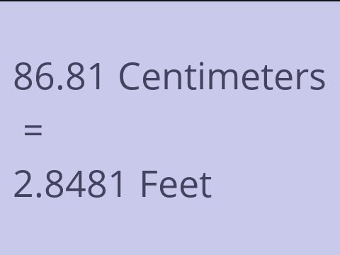 86.81 CM TO FEET