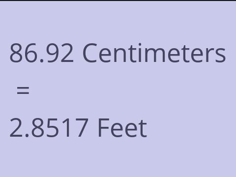 86.92 CM TO FEET