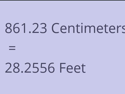 861.23 CM TO FEET