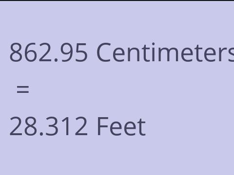 862.95 CM TO FEET