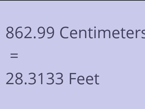 862.99 CM TO FEET