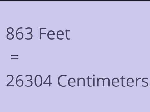 863 FEET TO CM