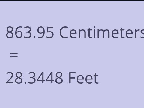 863.95 CM TO FEET