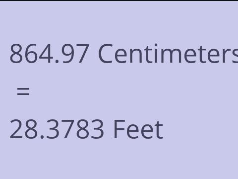 864.97 CM TO FEET