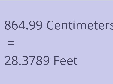 864.99 CM TO FEET