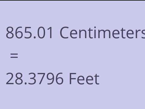 865.01 CM TO FEET