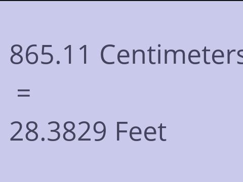 865.11 CM TO FEET