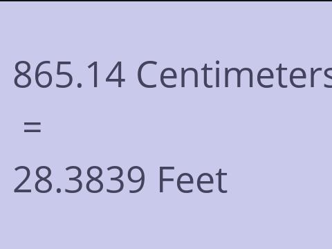 865.14 CM TO FEET