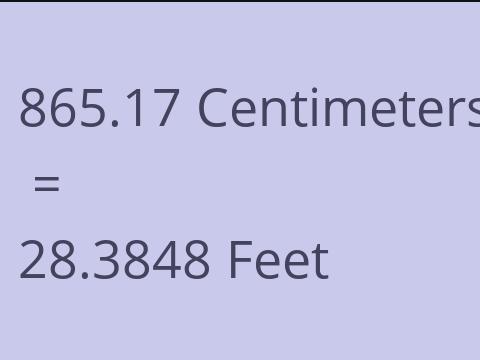 865.17 CM TO FEET