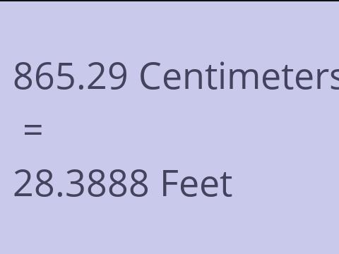 865.29 CM TO FEET