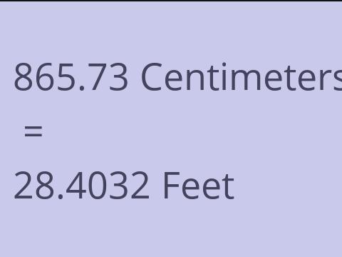 865.73 CM TO FEET