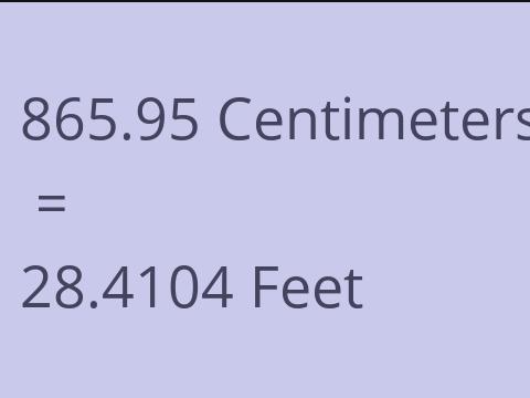 865.95 CM TO FEET