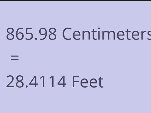 865.98 CM TO FEET