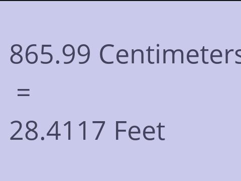 865.99 CM TO FEET