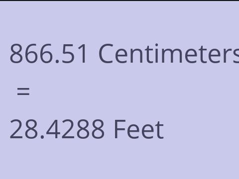 866.51 CM TO FEET