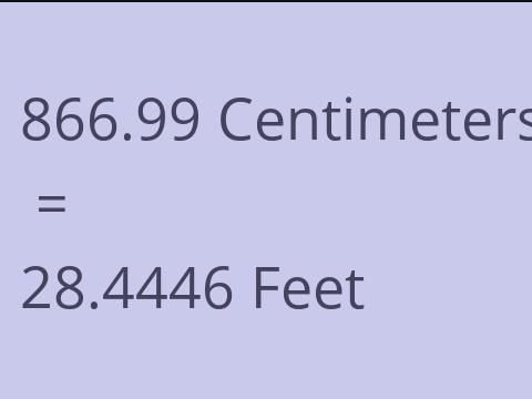 866.99 CM TO FEET