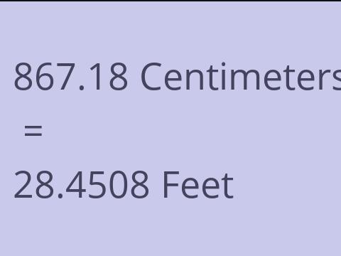 867.18 CM TO FEET