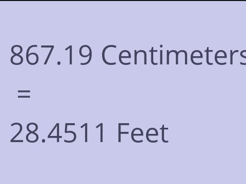 867.19 CM TO FEET