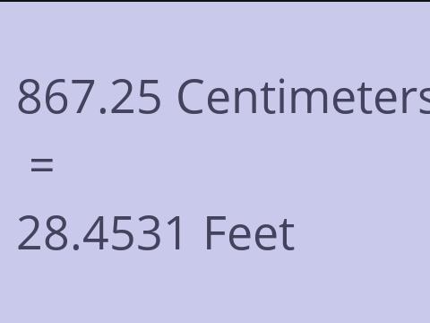 867.25 CM TO FEET