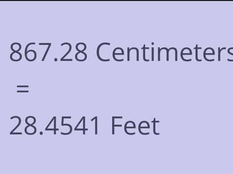 867.28 CM TO FEET