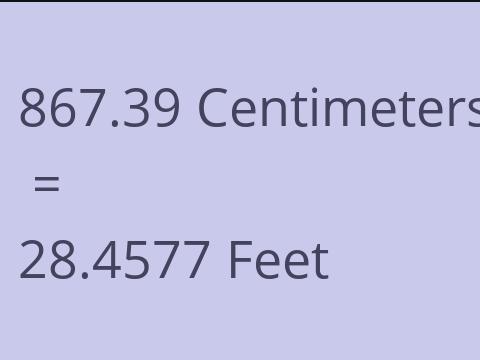 867.39 CM TO FEET