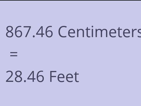 867.46 CM TO FEET