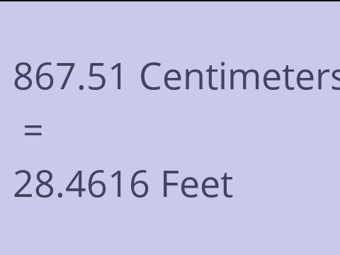 867.51 CM TO FEET