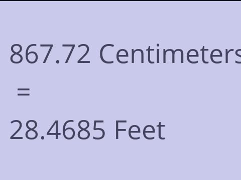 867.72 CM TO FEET