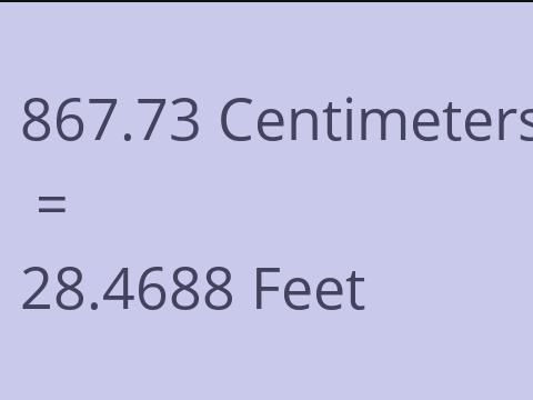 867.73 CM TO FEET