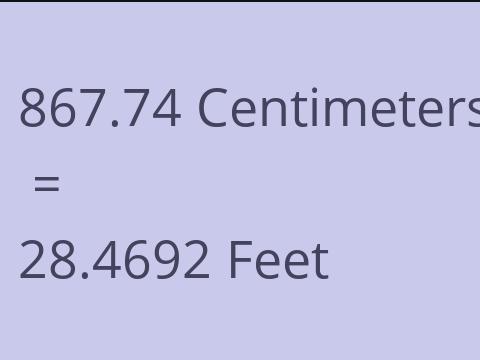 867.74 CM TO FEET