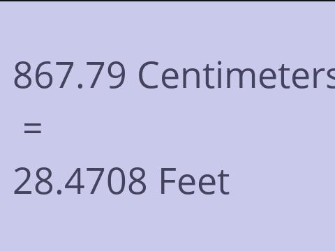 867.79 CM TO FEET